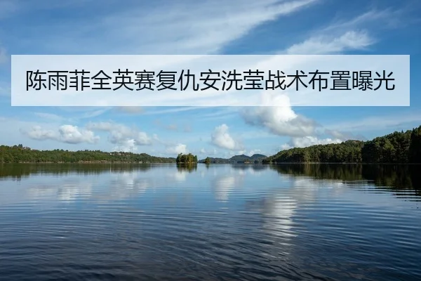 陈雨菲全英赛复仇安洗莹战术布置曝光